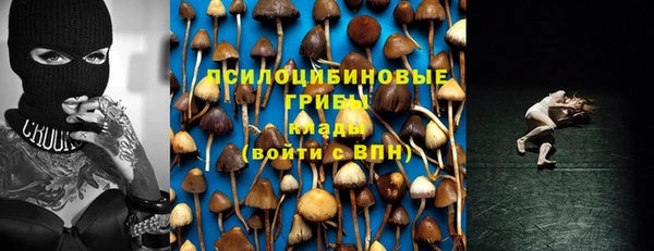 герыч Алексин
