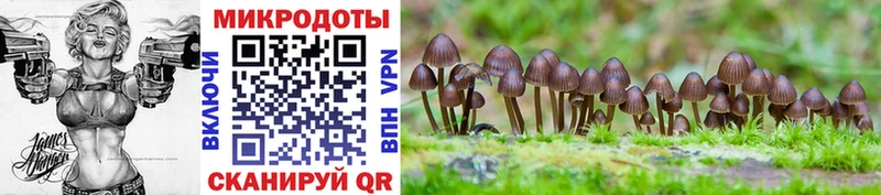 Галлюциногенные грибы Cubensis  закладка  mega зеркало  Петров Вал 